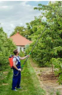 Kwazar Telescoping Extension Wand for Spraying Trees